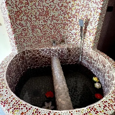Dormi Nella Privata Con Letto Ad Acqua, Sauna, Doccia Emozionale E Kneipp Alessandria